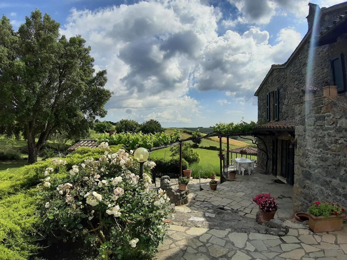 Agriturismo Cantinaccia Di Sopra Pitigliano Luaran gambar