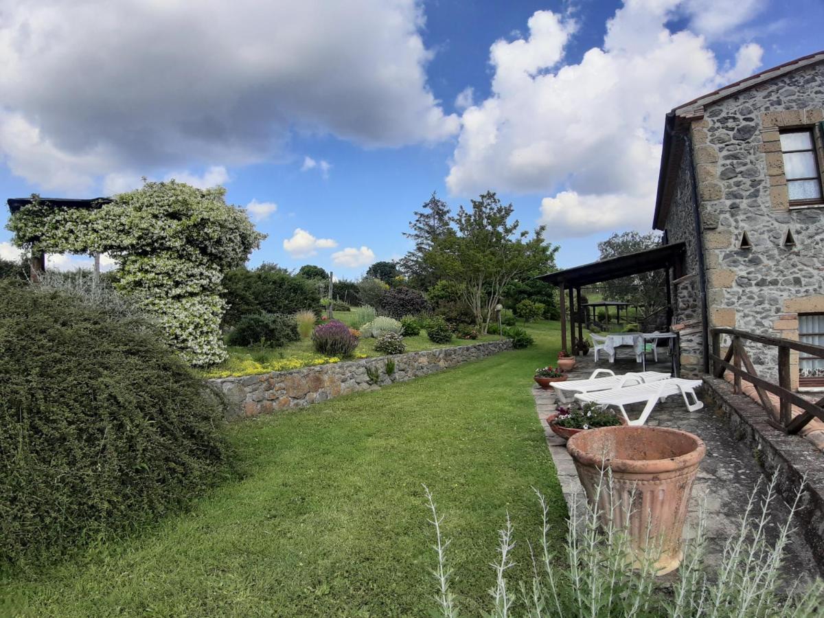 Agriturismo Cantinaccia Di Sopra Pitigliano Luaran gambar