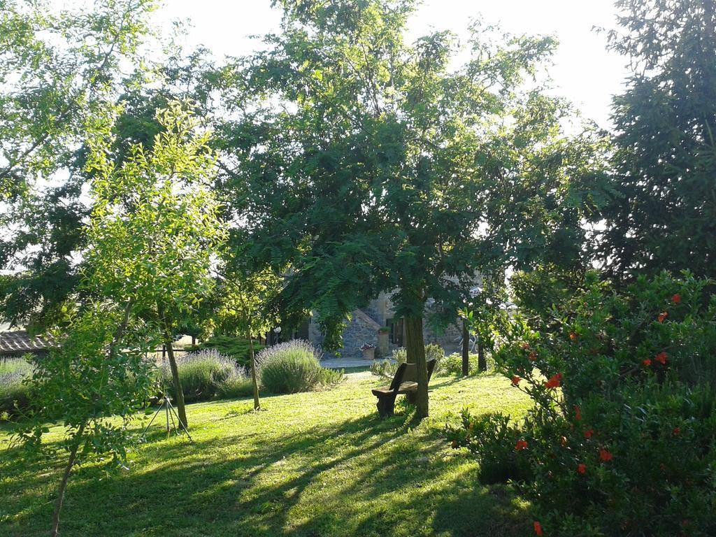Agriturismo Cantinaccia Di Sopra Pitigliano Luaran gambar
