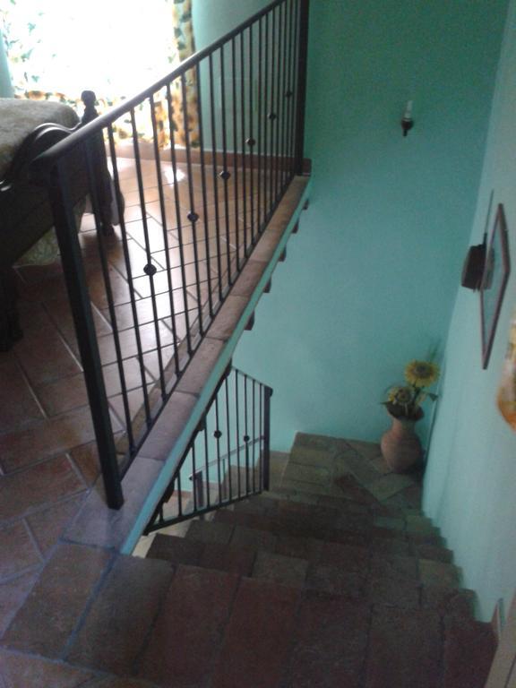 Agriturismo Cantinaccia Di Sopra Pitigliano Luaran gambar